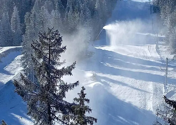 Woodside Woodside Apartments Kopaonik Free Parking & Spa , Free Ski Locker