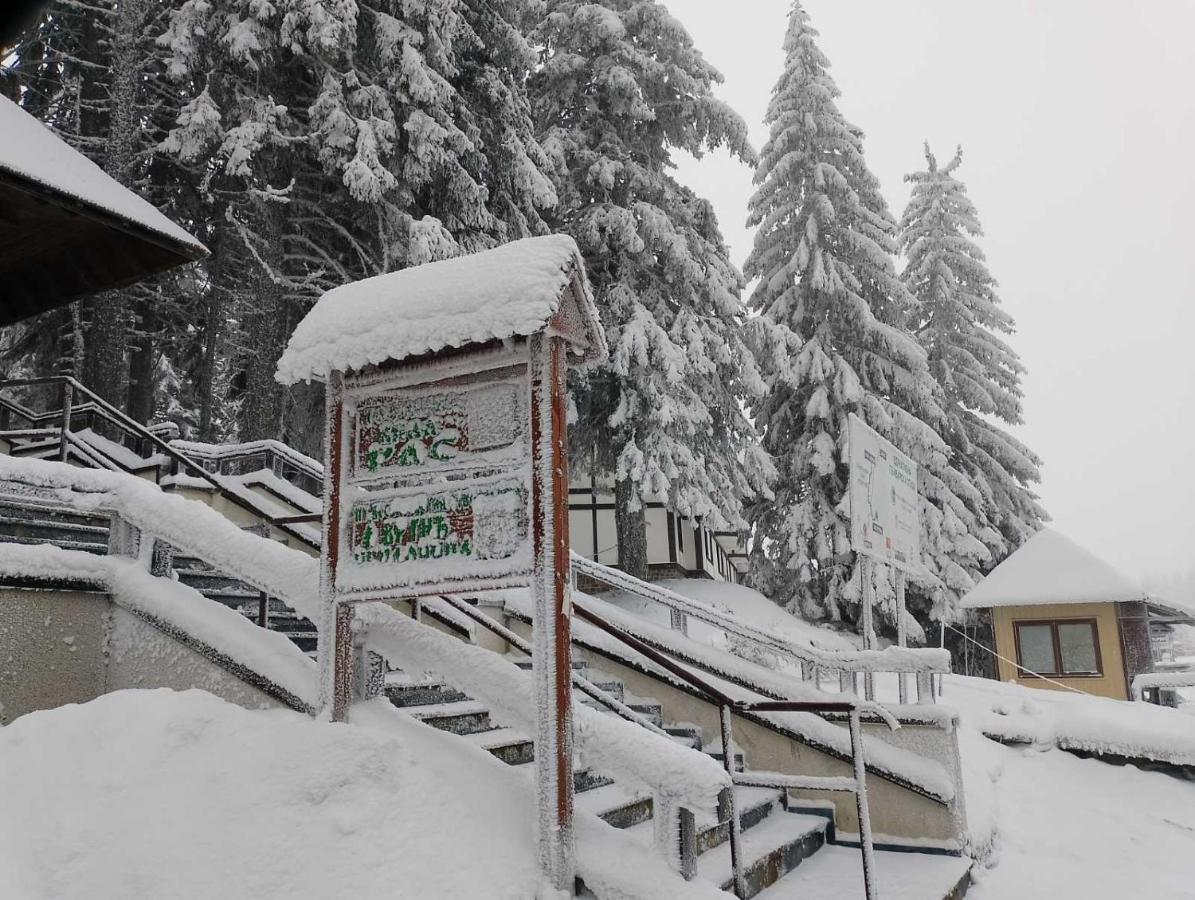 Apartman Woodside Woodside Free Parking & , Free Locker Kopaonik