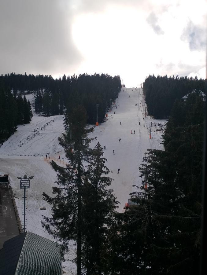 Woodside Woodside Free Parking & , Free Locker * Kopaonik