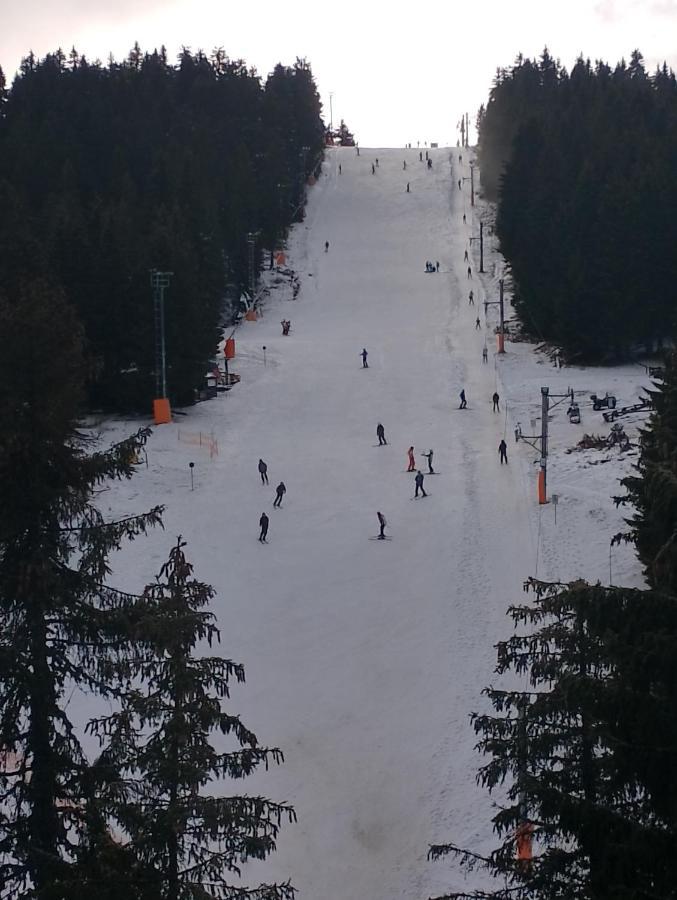 Woodside Woodside Free Parking & , Free Locker Kopaonik